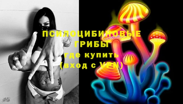 дживик Новодвинск