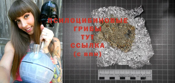 гидропоника Няндома