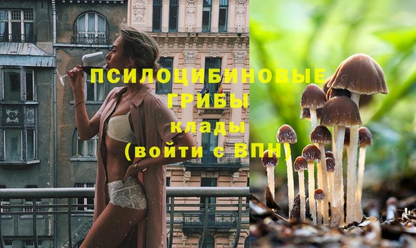 прущая мука Новозыбков