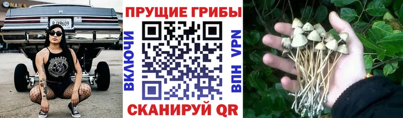 Галлюциногенные грибы мухоморы  Заполярный 